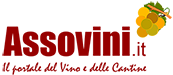 Assovini